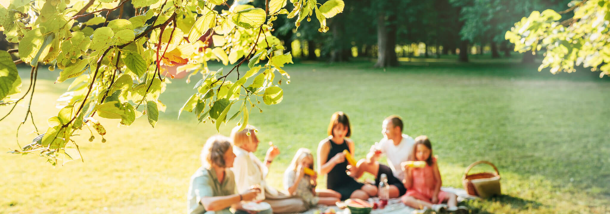 Eine Familie auf der Wiese