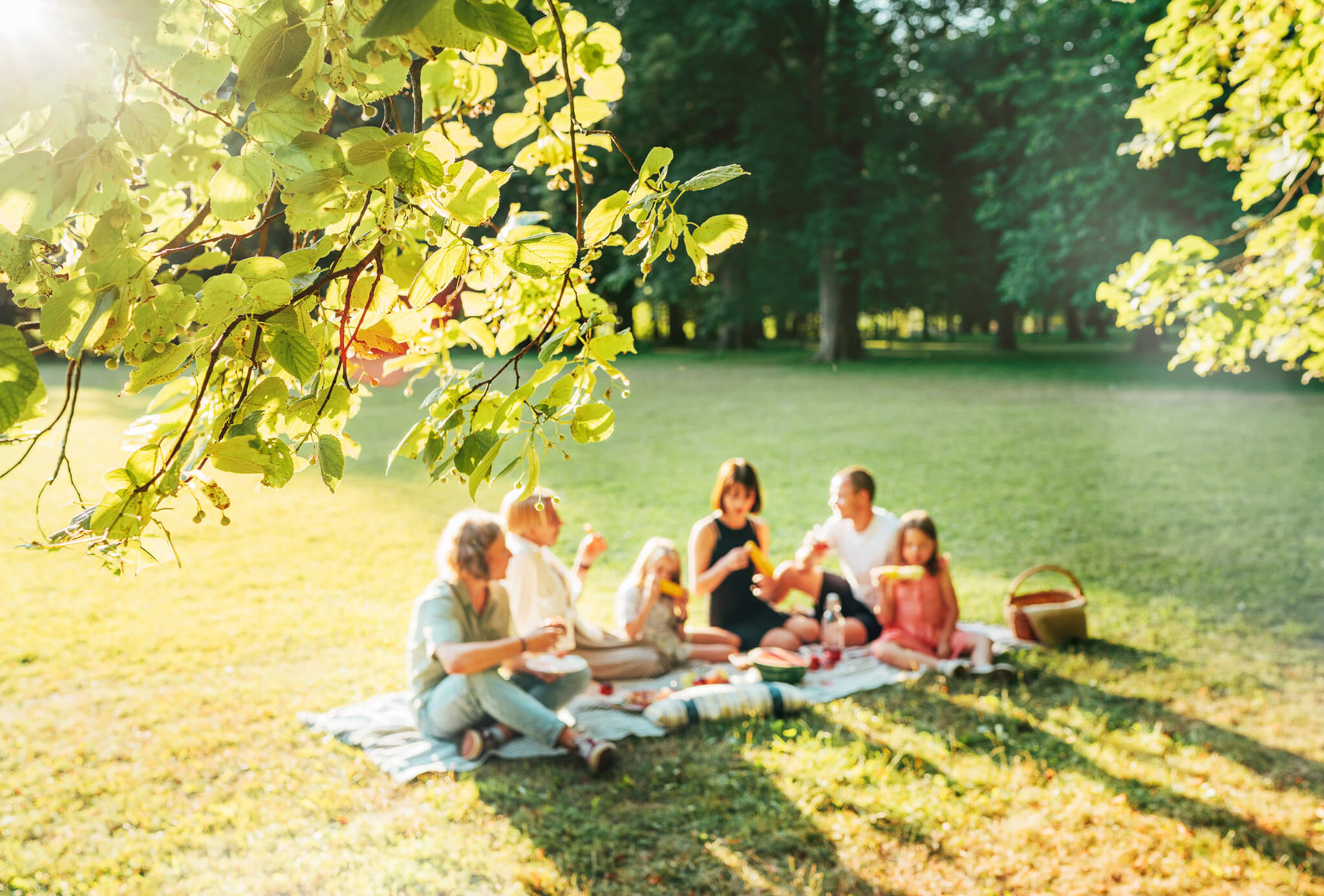 Eine Familie auf der Wiese