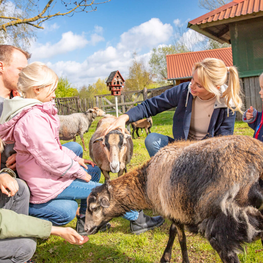 Eine Familie streichelt Ziegen