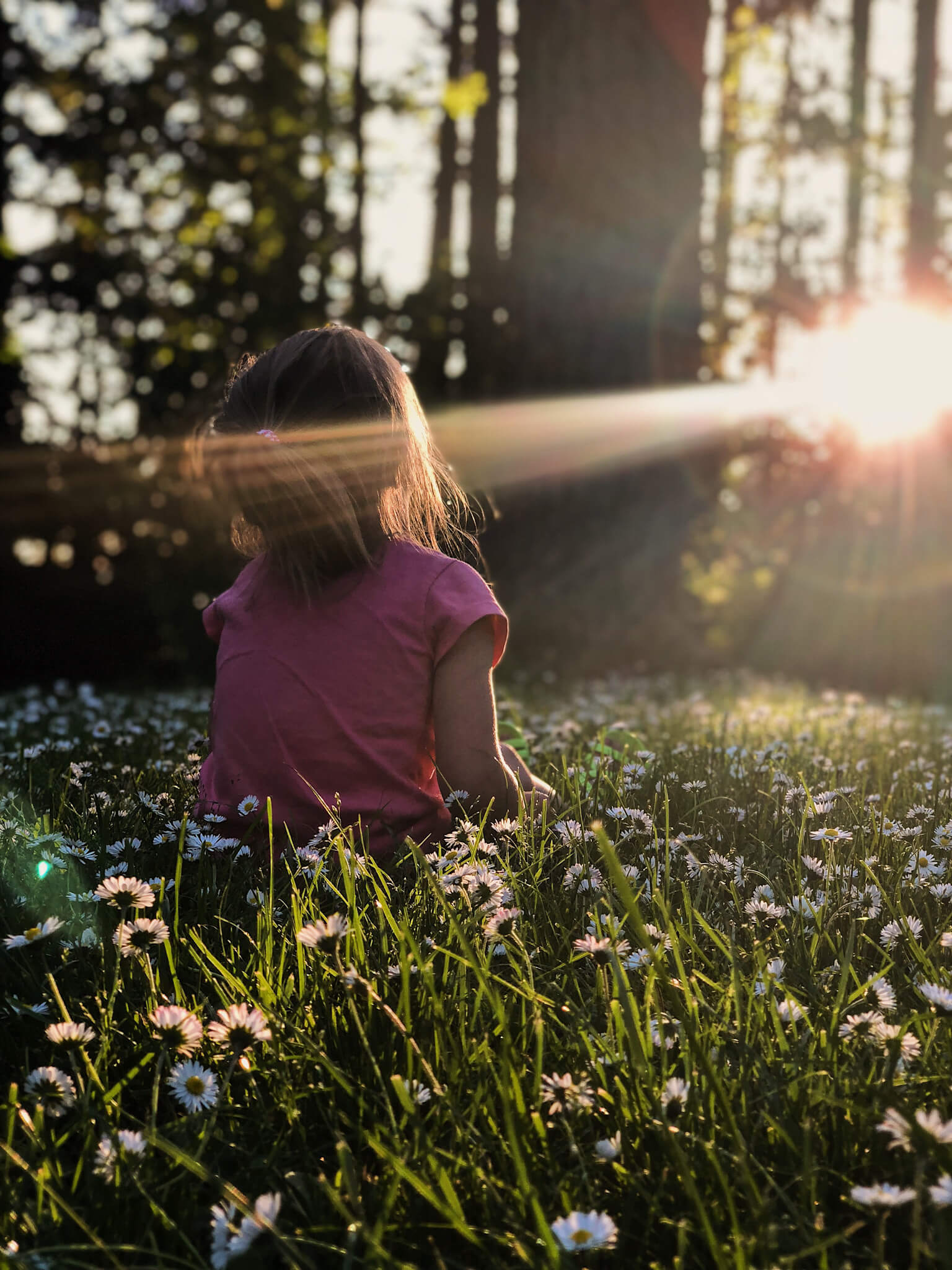 Kind im Blumenfeld mit Sonnenstrah