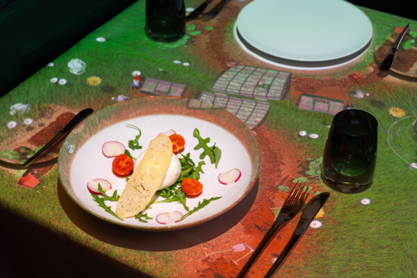 Dinner Show Le Petit Chef: Vorspeise Rucola mit Burrata und Tomaten
